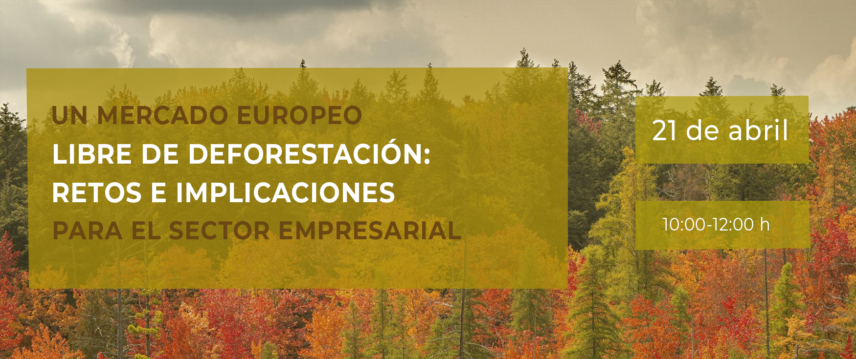 Texto alternativo