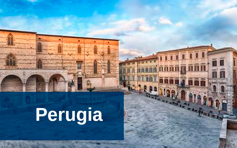 ALK FOUNDATION BANNER