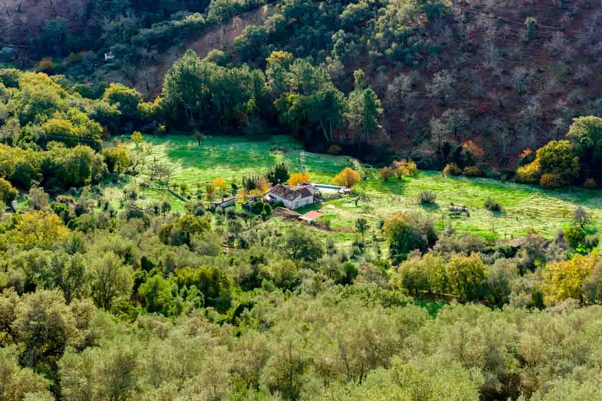 Campus Rural, prácticas universitarias en entornos rurales, se pone en marcha