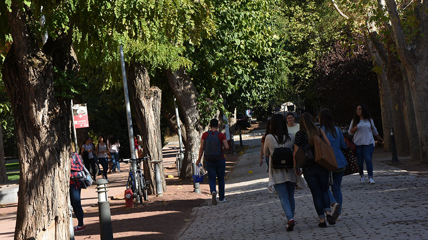 A healthy bowl of food.