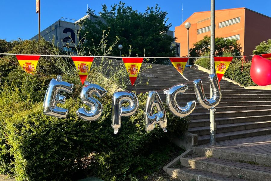 A healthy bowl of food.